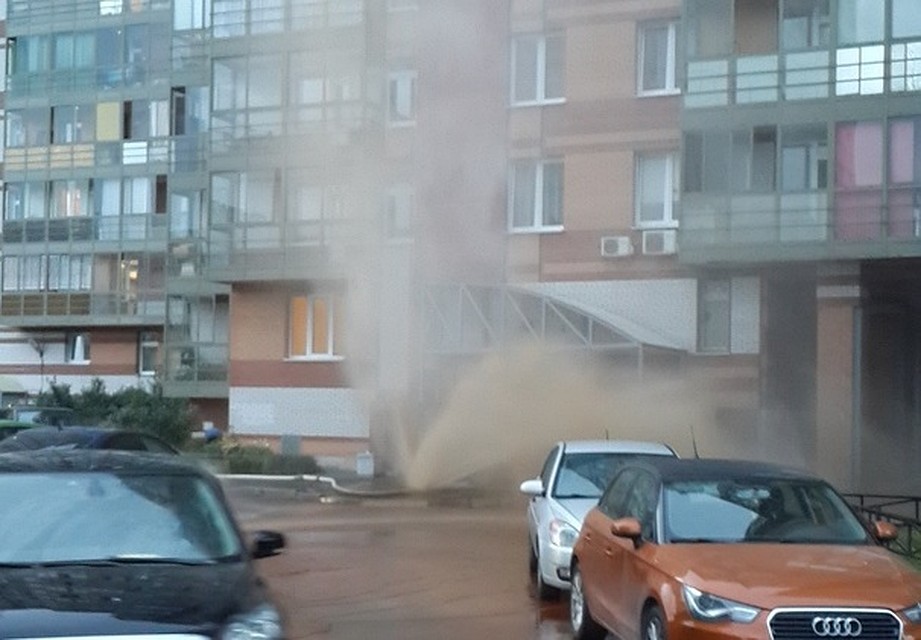 Фото: СОЦСЕТИ