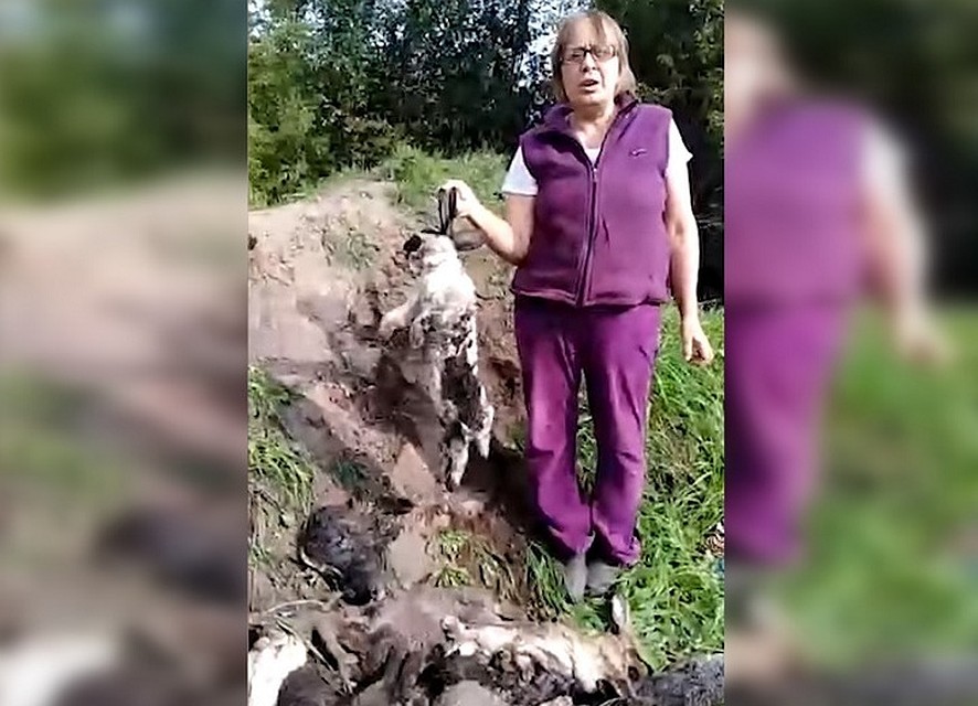 Жителей республики предупреждают об опасном звере