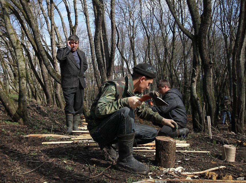 В Псковской области задержали «чёрного» лесоруба.
