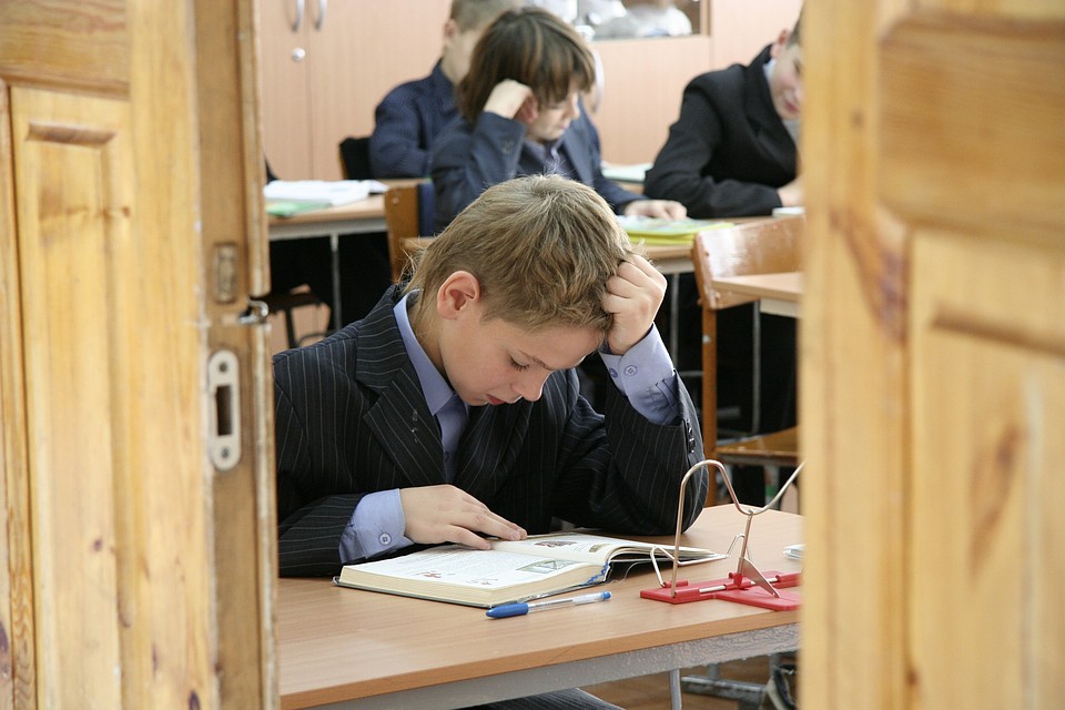 Школьник