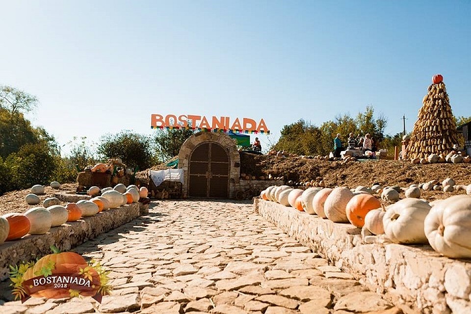 В эти выходные в Криулянском районе пройдет фестиваль "Бостаниада". Фото: соцсети