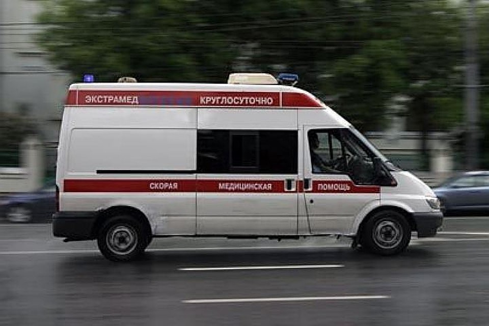 Девочка выбежала на дорогу