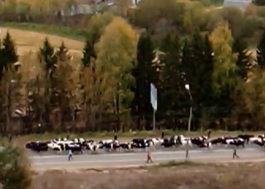 Дорога была перекрытой недолго