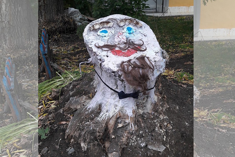 Волосатый пень В Челябинске.