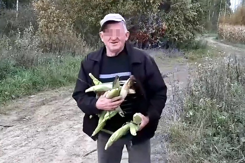 Почтальон не спешил извиняться за взятую кукурузу. Фото: кадр с видео