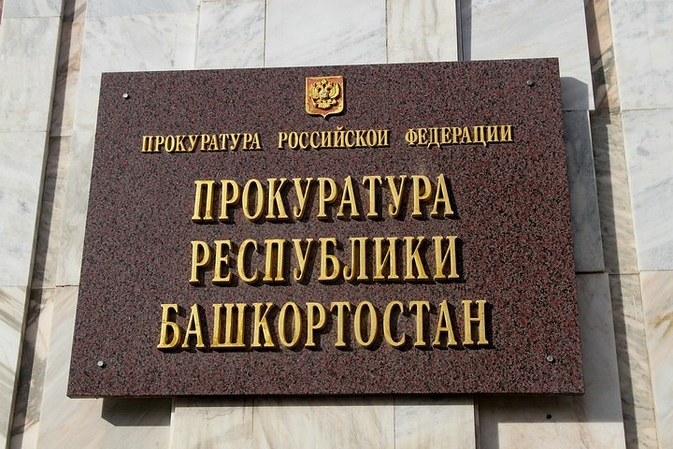 Сотрудники прокуратуры проверят школу, где учатся мальчики, которых обвинили в убийстве щенков