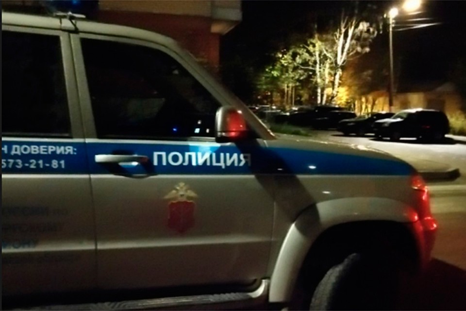 Полиция в Выборге ведет поиск мужчины, который напал на девочку с собакой.