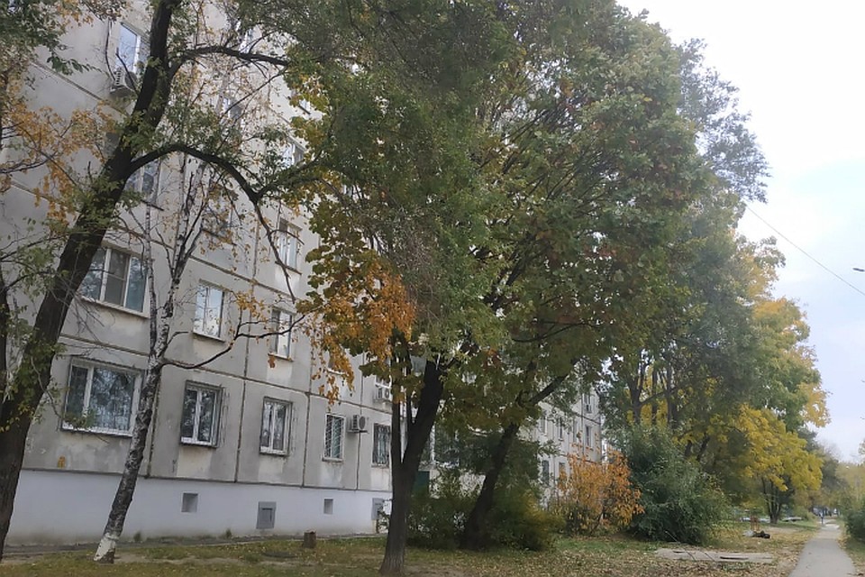 Погода в Хабаровске на 4 октября 2019 года: днем до +11, без осадков