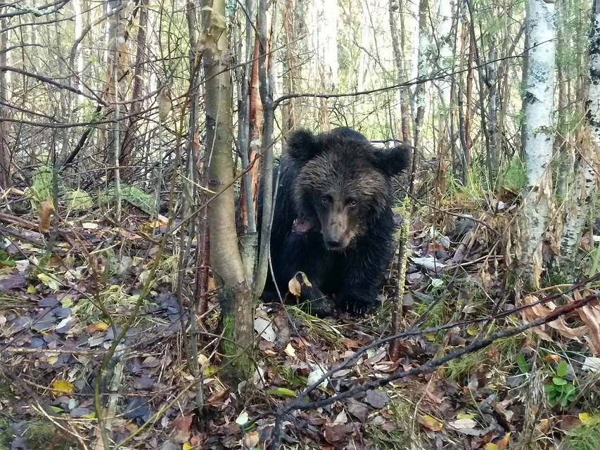 Фото со страницы в VK Натальи Крутских