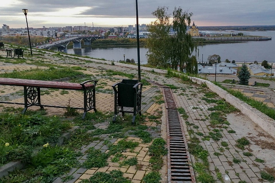 Набережная Федоровского в Нижнем Новгороде заросла травой. ФОТО: группа "Кстати"