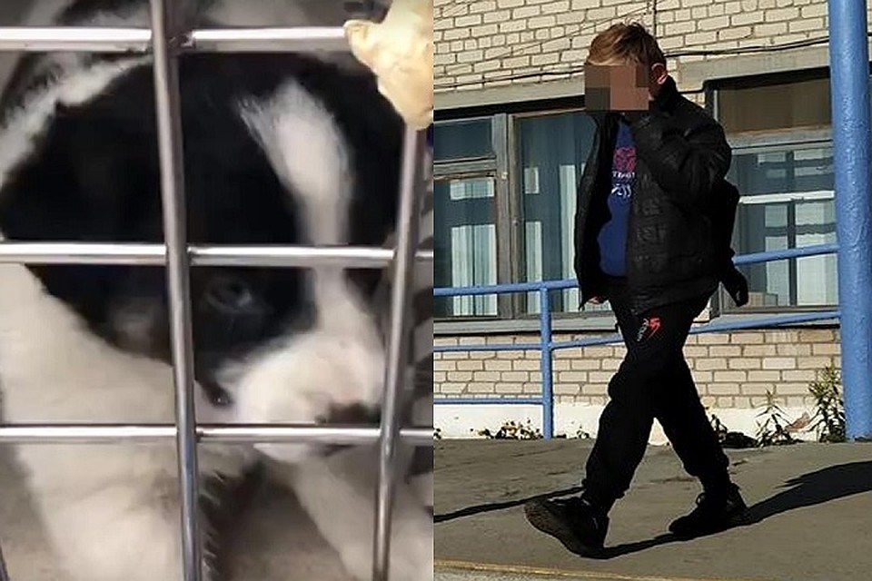 Один из участников расправы закрыл лицо руками и поспешил скрыться. Фото: Евгений Стоянов "КП", скриншот видео