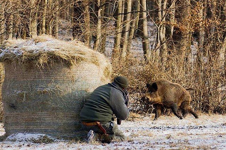 В Эстонии начался сезон охоты. Фото: «КП» - в Северной Европе»