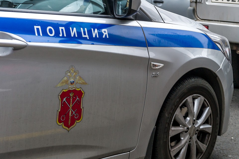 Трехлетняя малышка погибла под колесами Аudi в Ленобласти