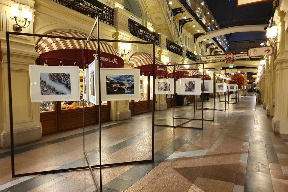 Фотография предоставлена ФАДН России.
