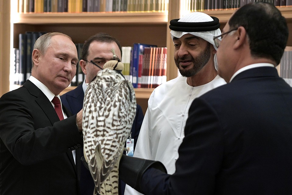 Белый кречет - подарок наследному принцу Абу-Даби от Путина
