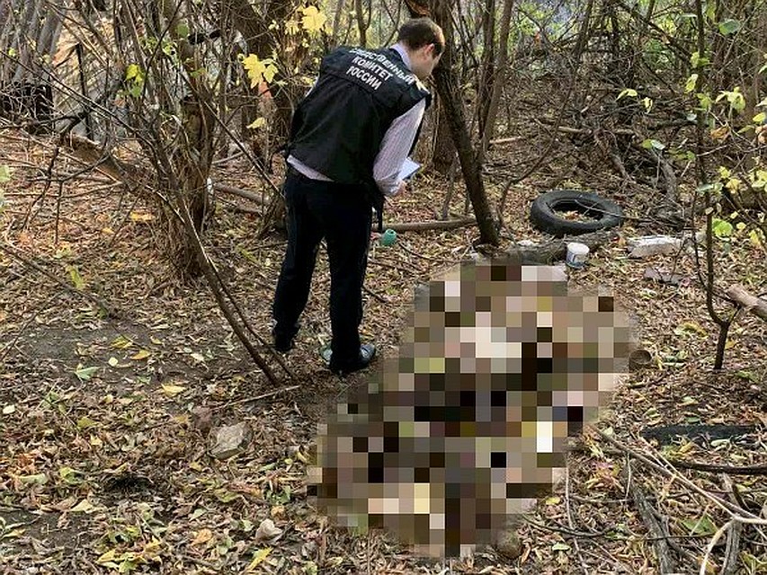 Фото СУ СКР по Саратовской области