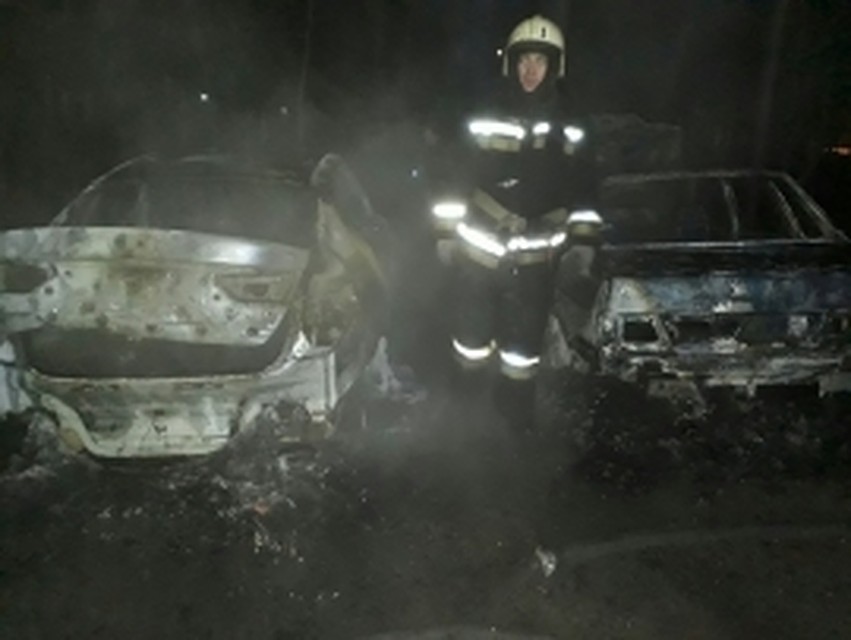 фото ГУ МЧС по Воронежской области