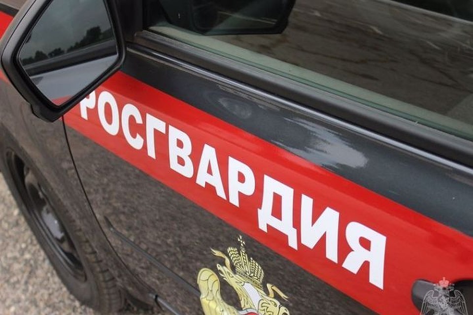 Подросток из Кузбасса пропал по дороге в школу. ФОТО: Управление Росгвардии