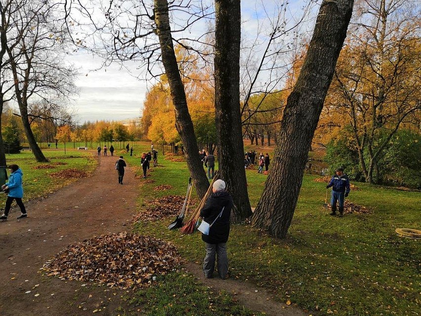 19 октября в Петербурге проходит общегородской субботник. Фото: gov.spb.ru