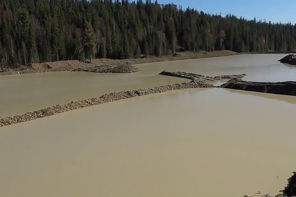 Систему дамб на водоемах для добычи золота видно на кадре из фильма "Золотая Сейба".