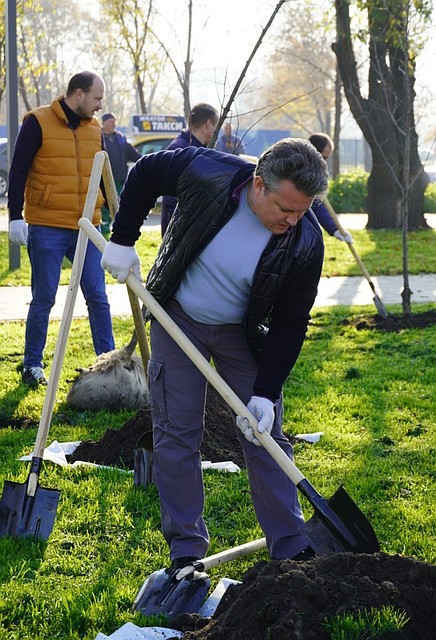 Фото: предоставлено пресс-службой администрации города Воронежа.