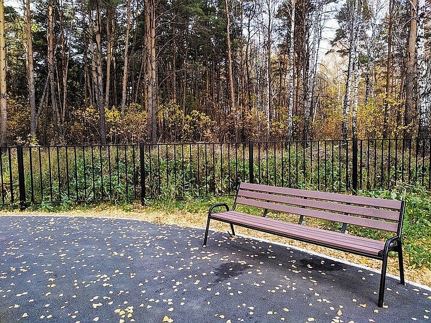 Погода в Тюмени 20 октября: солнечно и безветренно