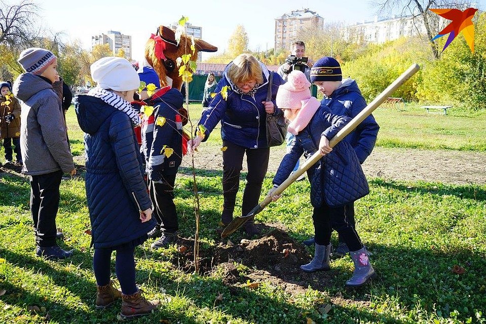 Весной 2020 года в Орле могут высадить 6 тысяч саженцев лип и кленов