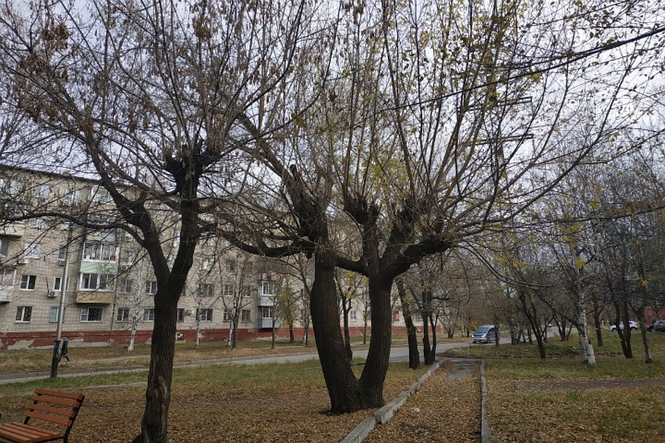 Погода в Хабаровске на 28 октября 2019 года: днем до +11, без осадков
