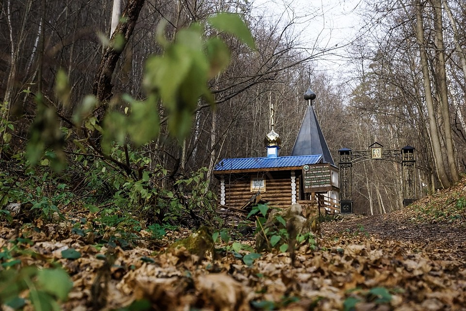 Дорогу к знаменитому источнику Каменная чаша в национальном парке Самарская Лука благоустроили