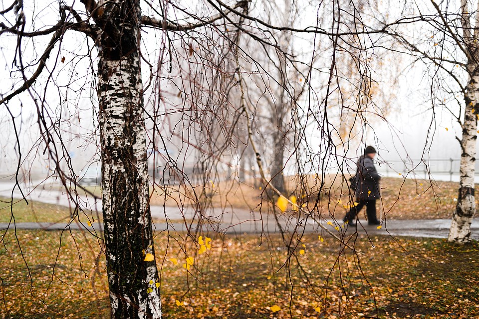 ФОТО: Амир ЗАКИРОВ