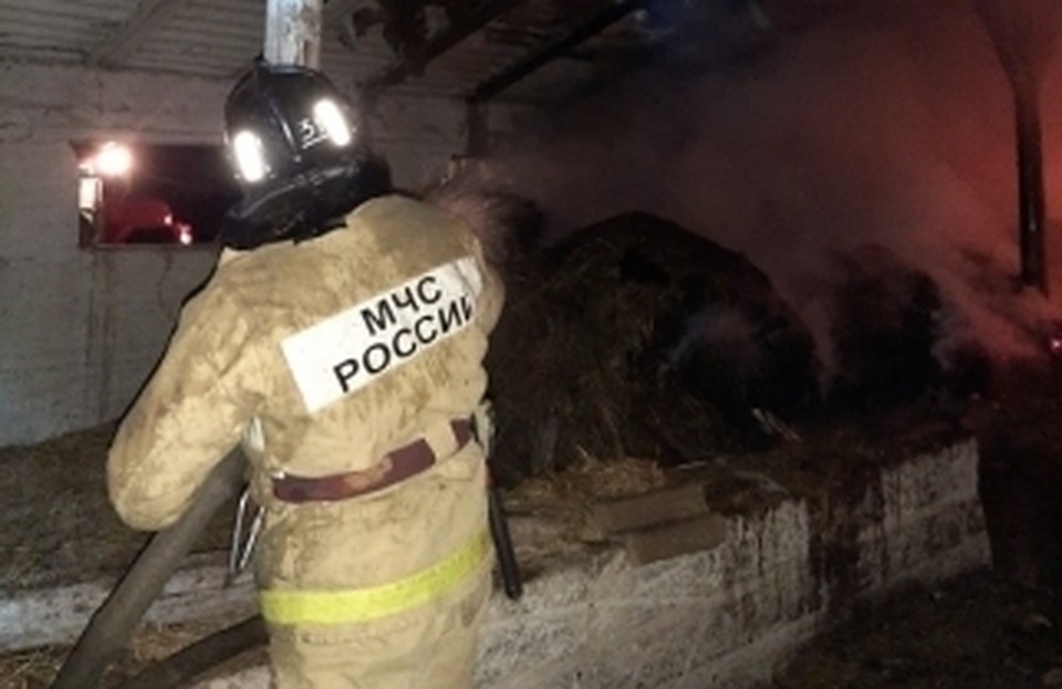 Фото: пресс-служба ГУ МЧС России по Орловской области