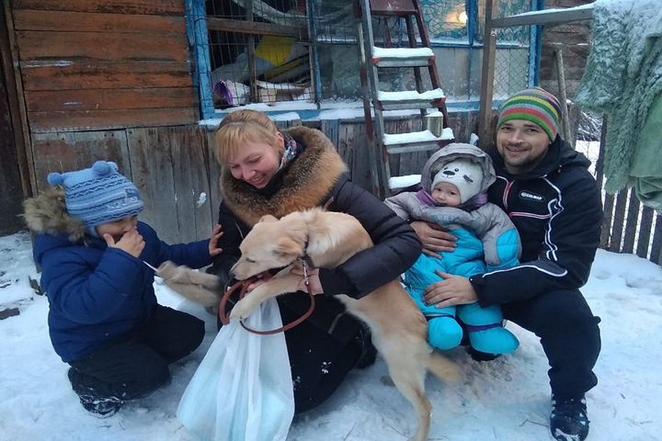 Щенку Доре нашли дом. Фото: «Кошкино лукошко»