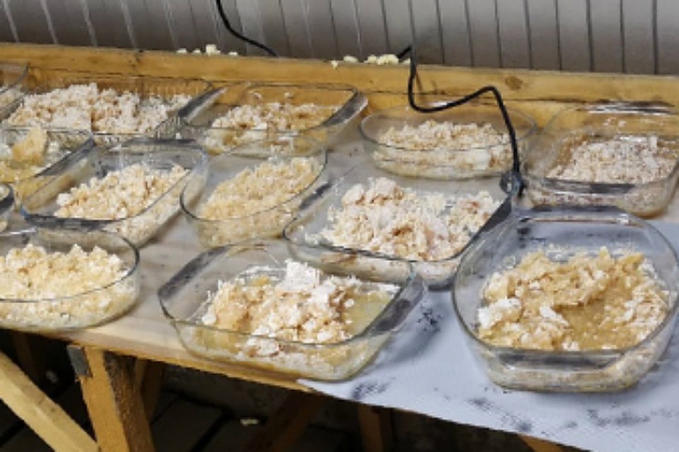 Крупнейшую нарколабораторию России ликвидировали в Хабаровском крае