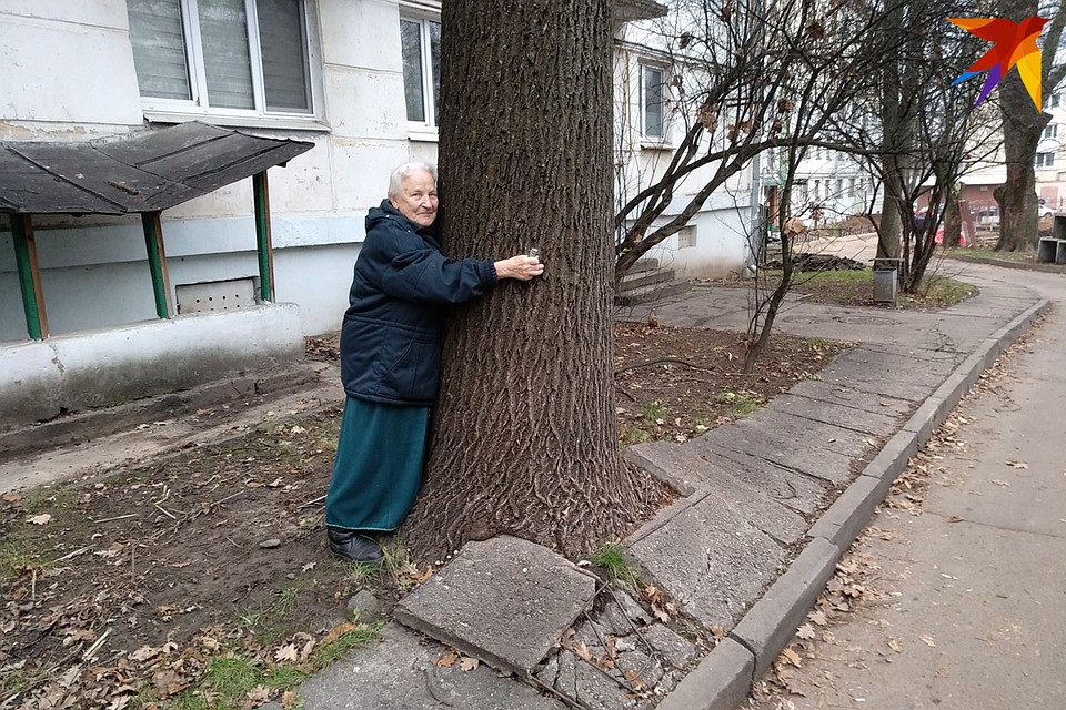 90-летняя Людмила Хомич у злополучного дуба.