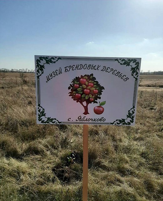 В Шебекинском городском округе Белгородчины создан музей под открытым небом. Фото пресс-службы администрации Шебекинского городского округа.