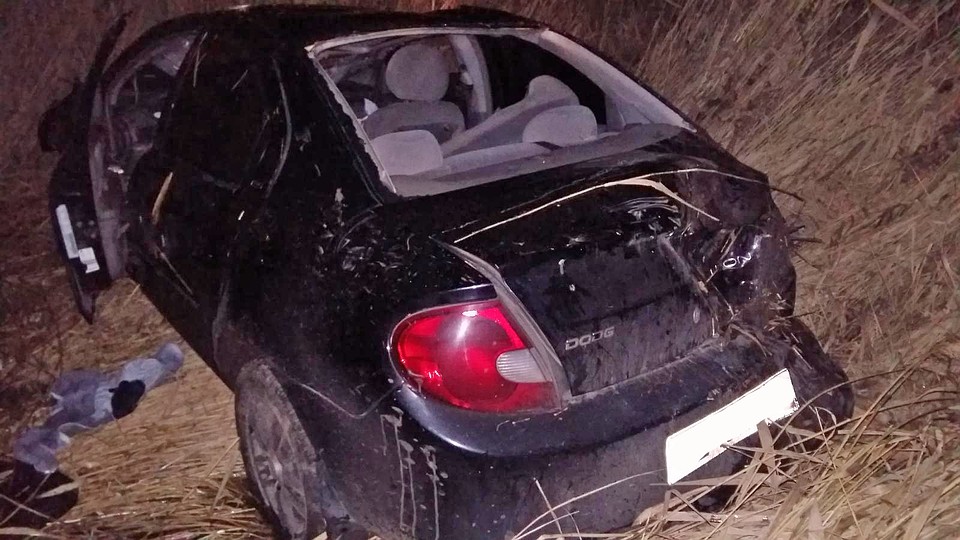 133 аварии на Тамбовщине произошли по вине пьяных водителей