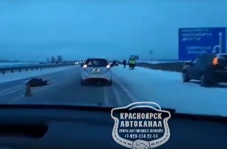 70-летний мужчина шагнул под колеса иномарки на трассе Железногорск – Красноярск. Красноярск автоканал