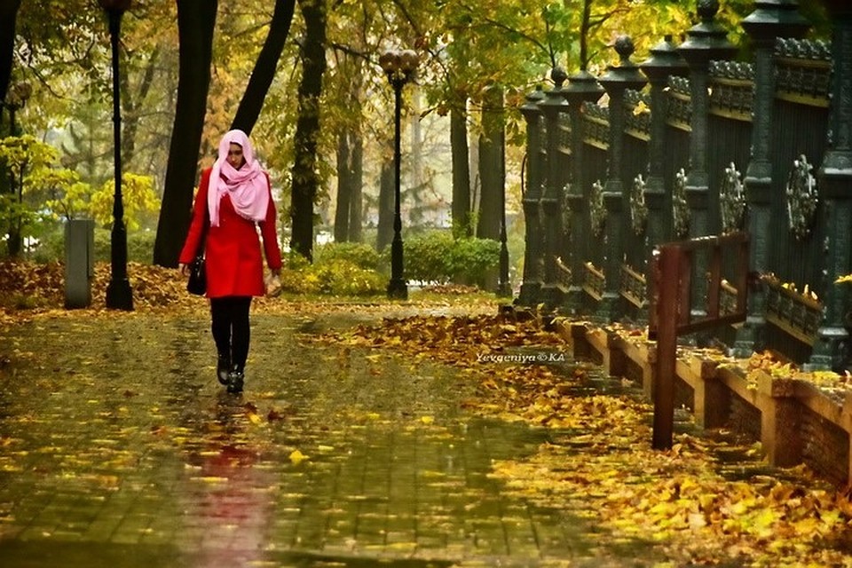 Осень - это не только желтые листочки, но и ветер, и снег с дождем. Фото: Евгении Карпачевой