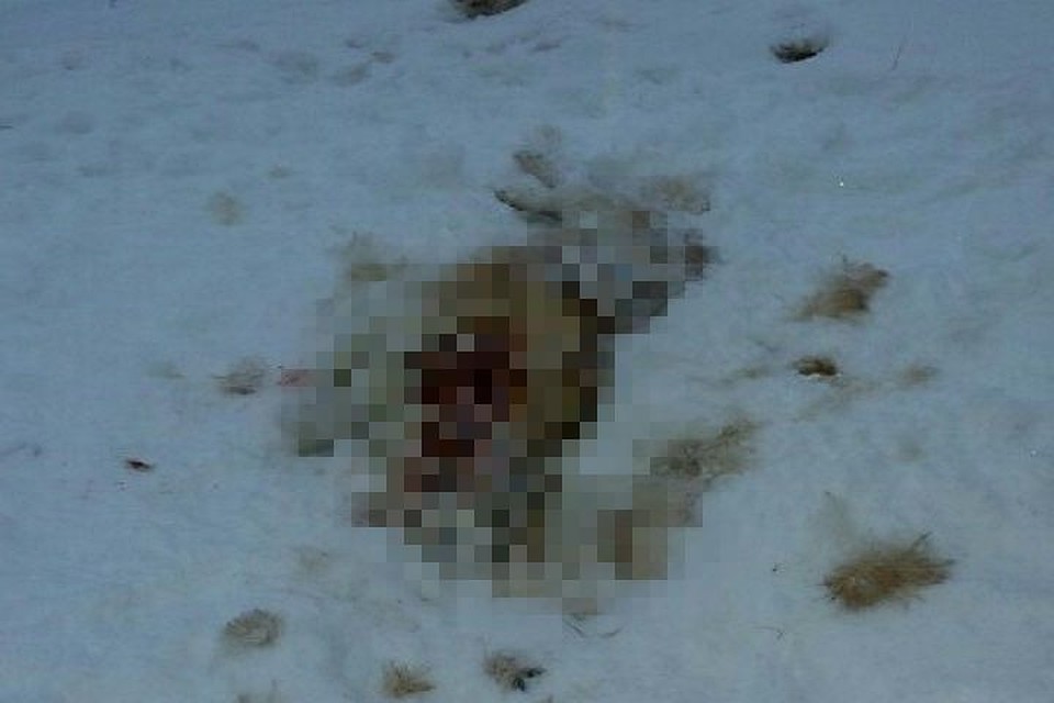 Фото: "Подслушано Усть-Черная"