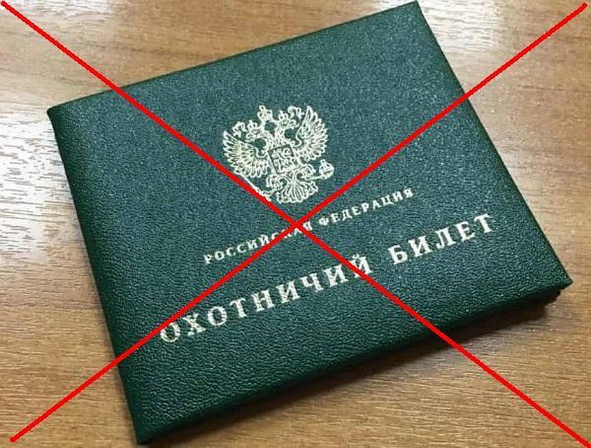 Фото: пресс-служба облкомприроды.