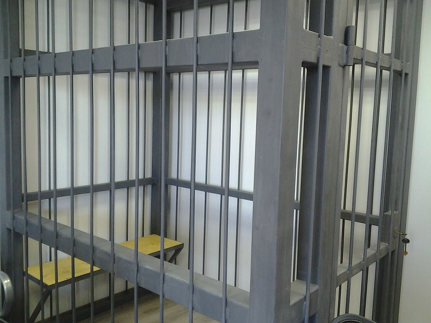 Теперь воровку ждет суд