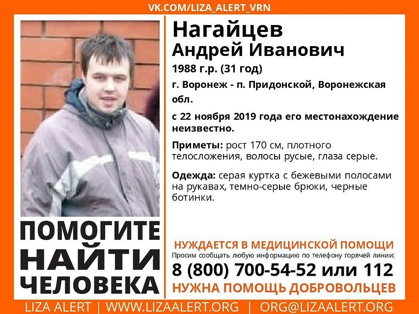 Фото: из группы поискового отряда «Лиза Алерт Воронеж» в соцсети.