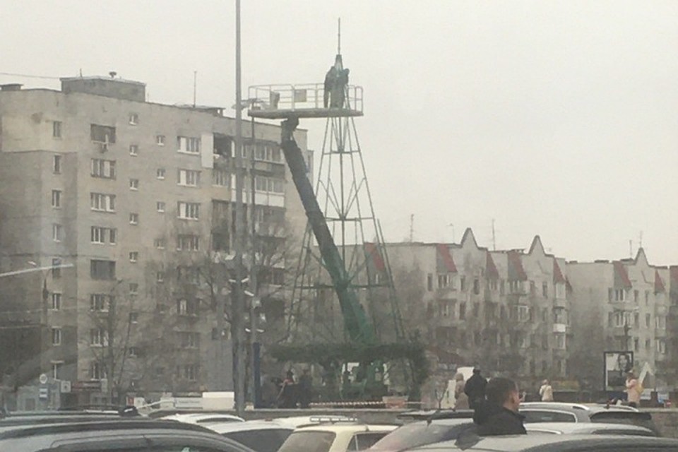 Искусственное дерево собирают на парковке магазина.Фото: vk.com, Лев Спокойный