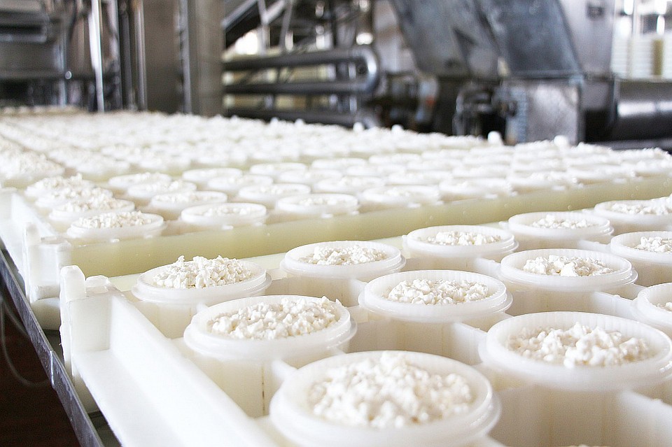 Продукты с истекшим сроком годности нужно уничтожать. Фото: Россельхознадзор Челябинской области.