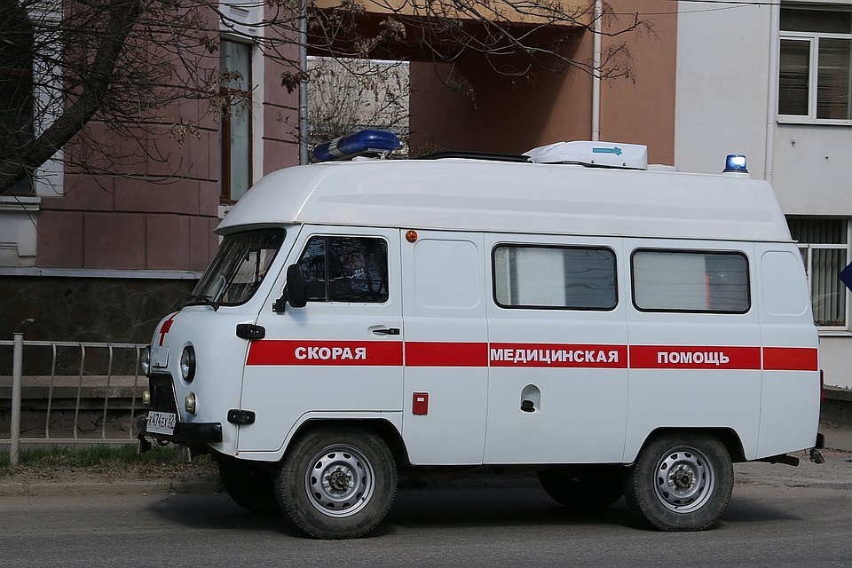 Фото: Анастасия ЖУКОВА