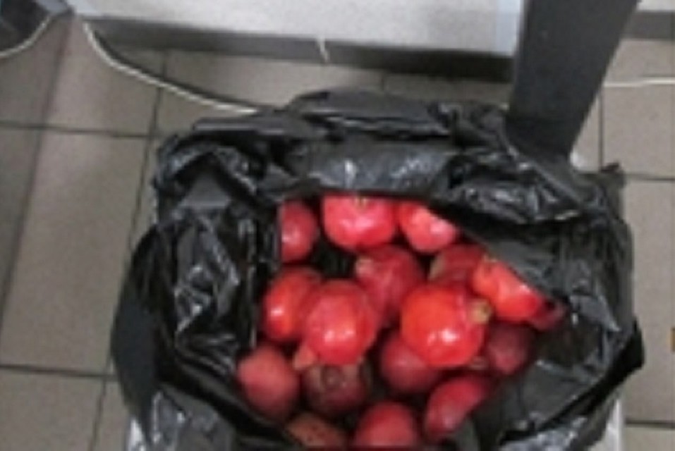 В аэропорту Сургута в спецпечи сожгли 320 килограмм фруктов и орехов из бывших союзных республик. Фото с сайта Россельхознадзора Югры