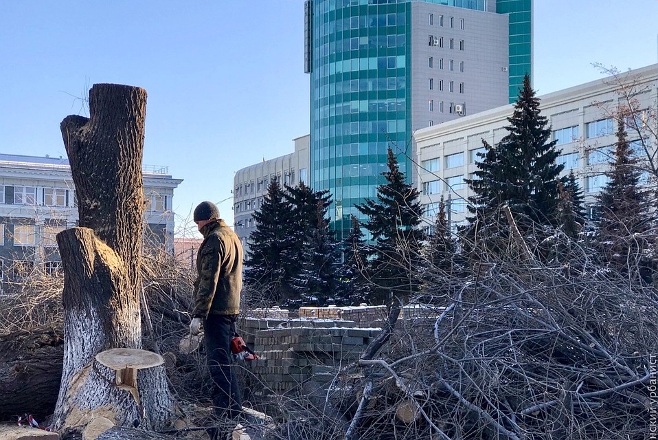У Публичной библиотеки срубят три дерева. Фото: группа "Челябинский урбанист" vk.com