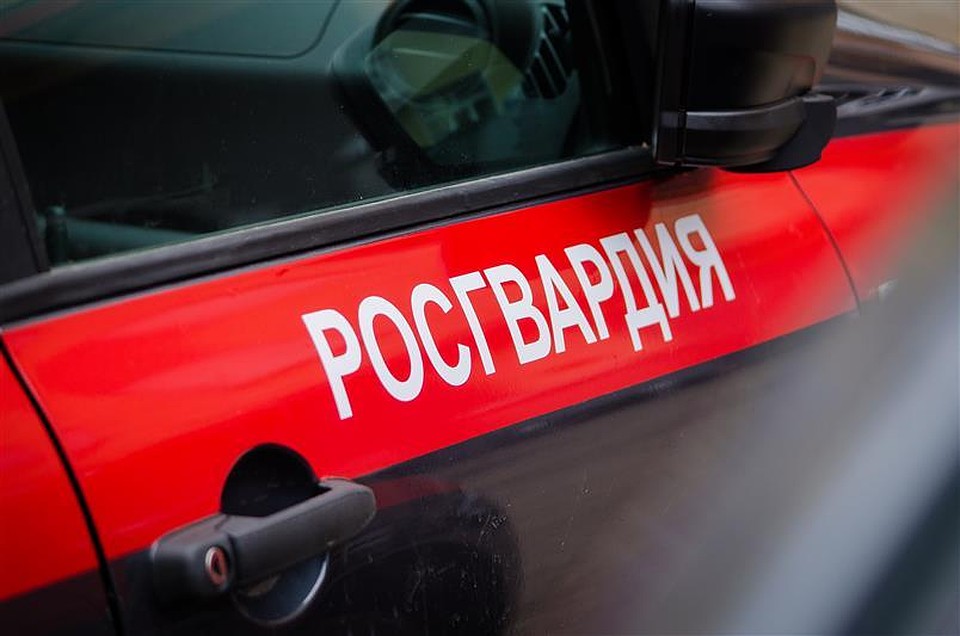 Фото: Управление Росгвардии по Брянской области.