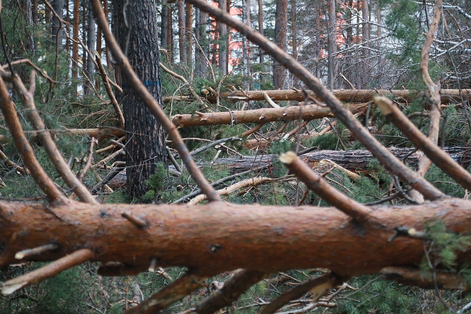 В Красноярске утвердили изменения в планировку жилого района «Агроуниверситет»
