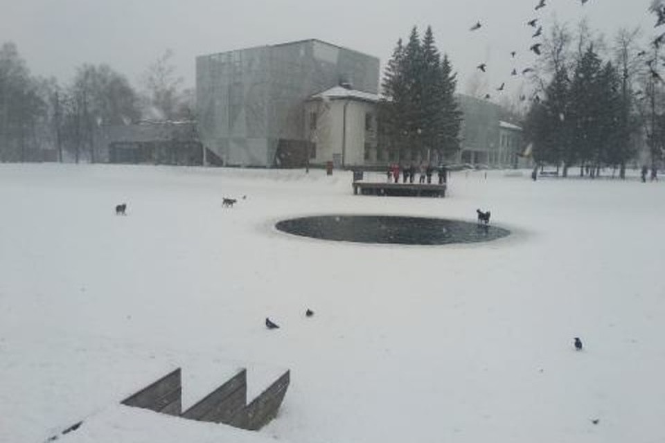 Фото: народный контроль